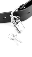 Fetish Fantasy Deluxe Ball Gag With Dong
