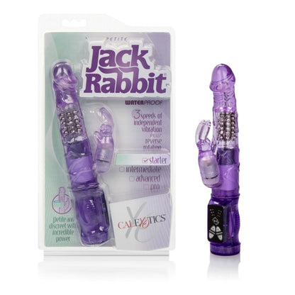 Petite Jack Rabbit