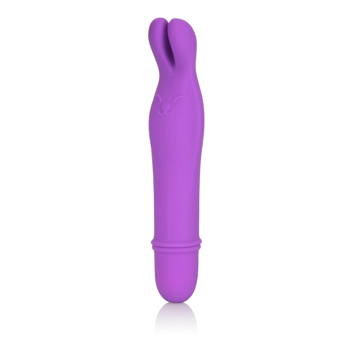 Shane's World Bedtime Bunny