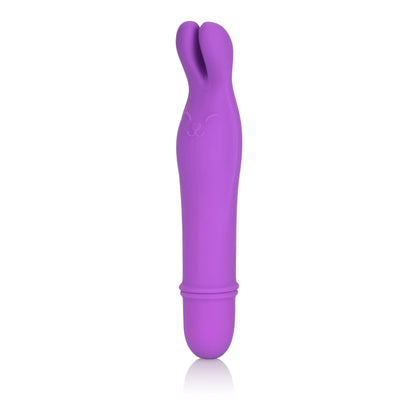 Shane's World Bedtime Bunny