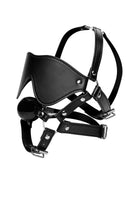 Blindfold Harness + Ball Gag