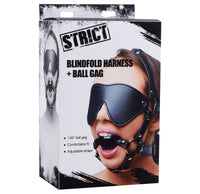 Blindfold Harness + Ball Gag