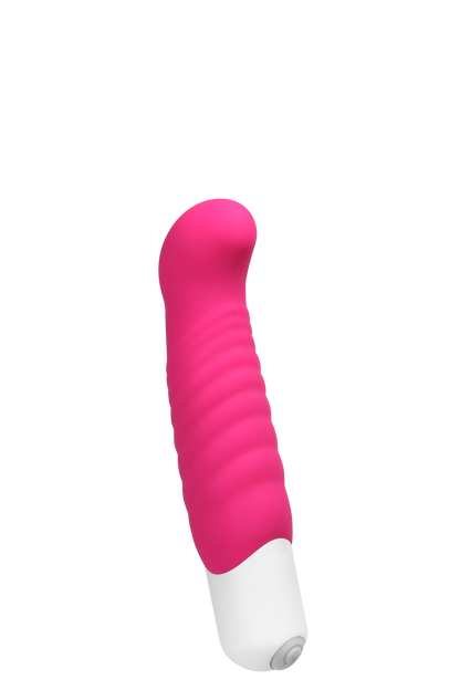 Inu Mini Vibe